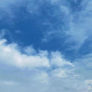 成人做爱动态视频
